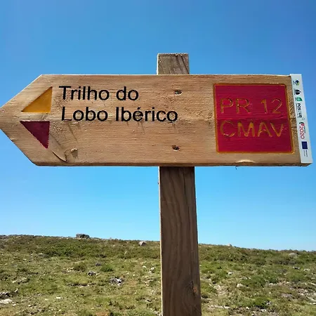 Dans L'atelier Unidade Porta Nova Брага