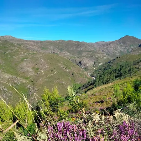 Dans L'atelier Unidade Porta Nova Брага