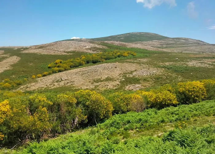 Dans L'atelier Unidade Porta Nova *